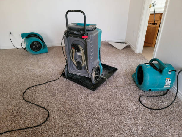 Best Mold removal after water damage  in Helena Valley West Central, MT