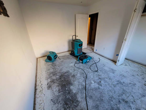 Best Carpet water damage restoration  in Helena Valley West Central, MT