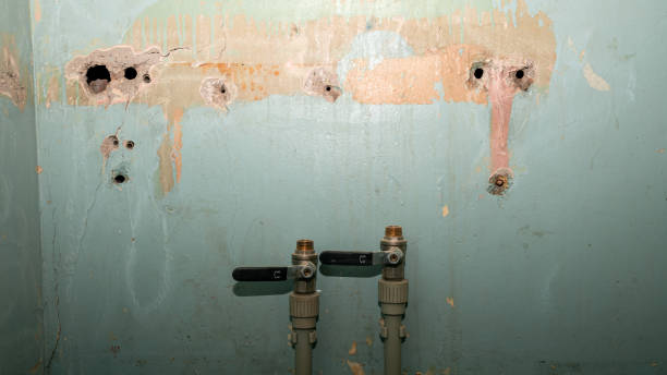 Best Flood damage cleanup  in Helena Valley West Central, MT