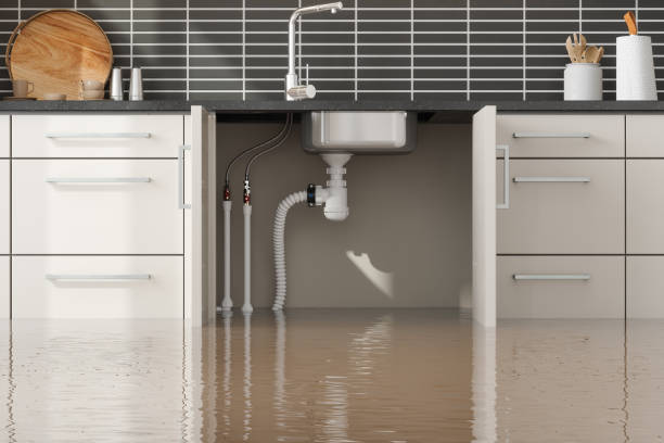 Best Flooded house restoration  in Helena Valley West Central, MT