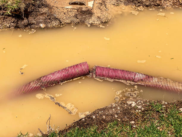 Best Flood restoration services  in Helena Valley West Central, MT