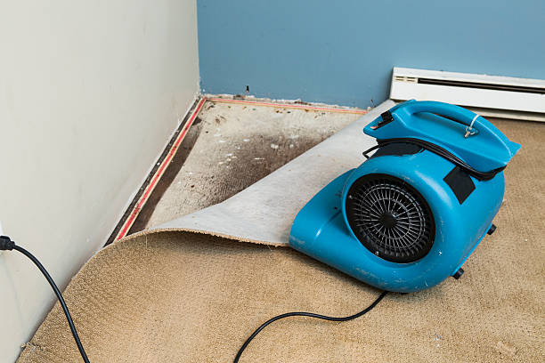 Best Sewage cleanup and water damage restoration  in Helena Valley West Central, MT